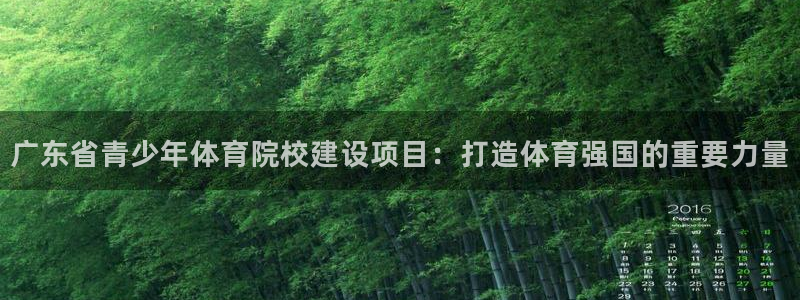 vsport体育官网下载平台注册流程视频:广东省青少年体育院